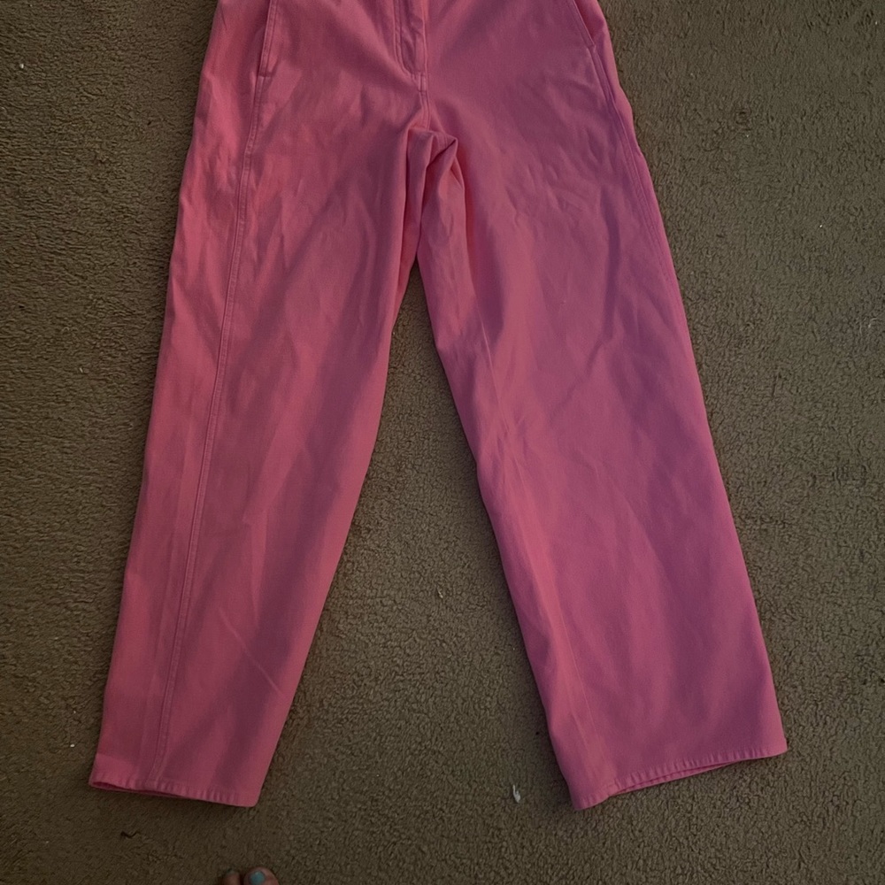 Artiza Wilfred free Pink pants